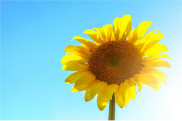 8 Warm and Sunny Winter Destinations That Canadian Passport Holders Can Visit Visa-Free